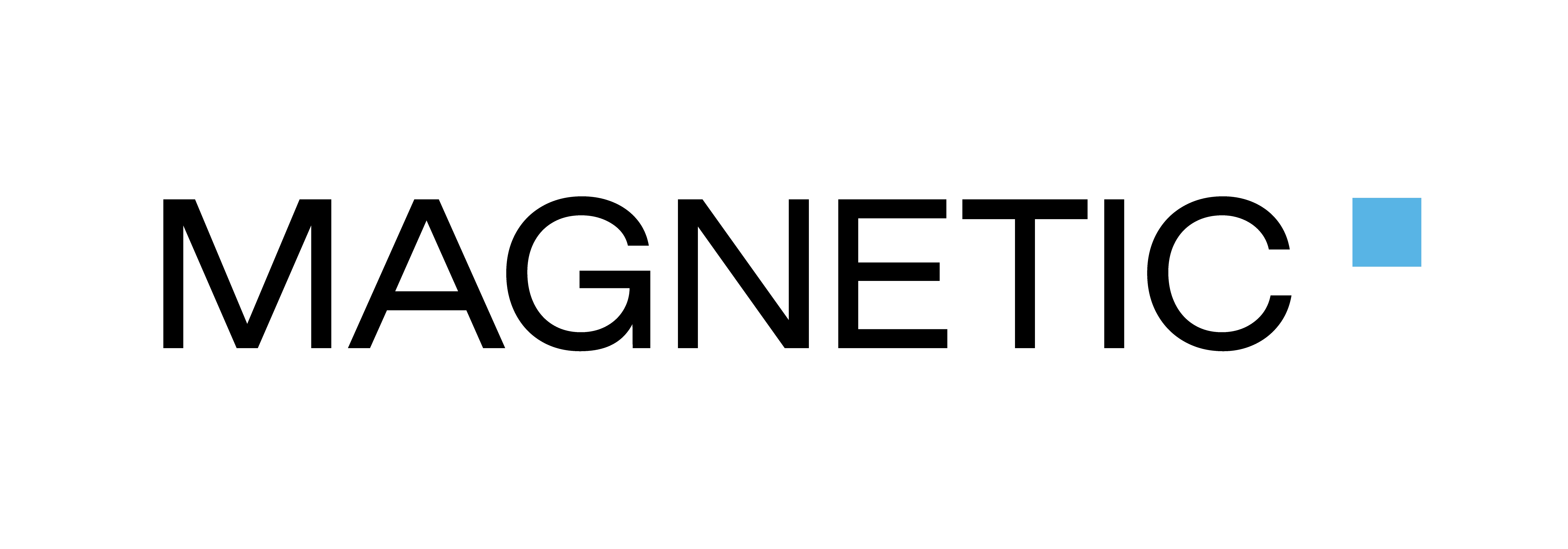 Logo Magnetic Studios