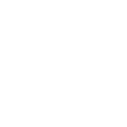 Logo Peseteros